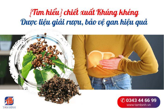 Khúng khéng – Dược liệu quý giúp giải độc, bảo vệ gan hiệu quả