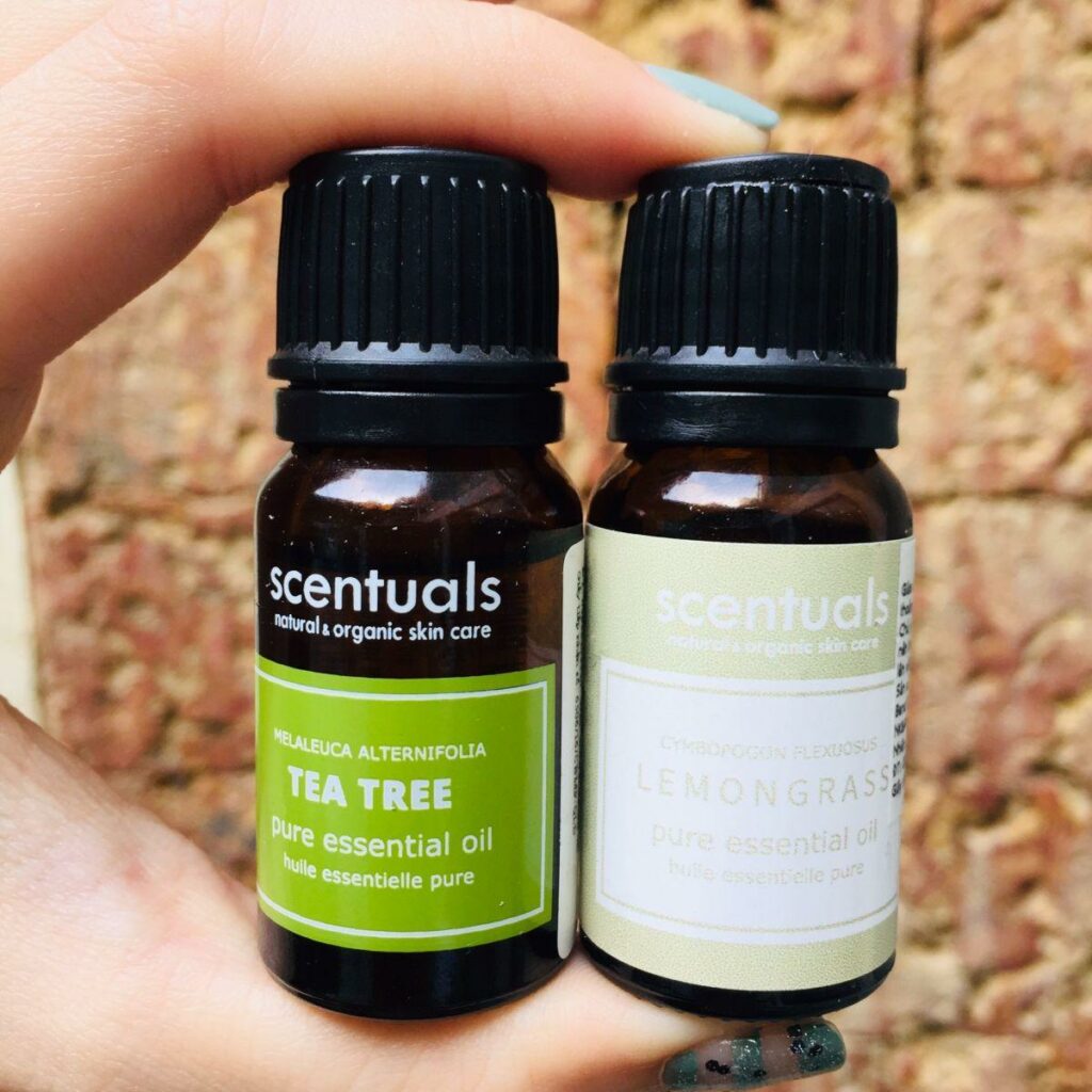 Tinh Dầu Scentuals Melaleuca Alternifolia Pure Essential Oil 10ml