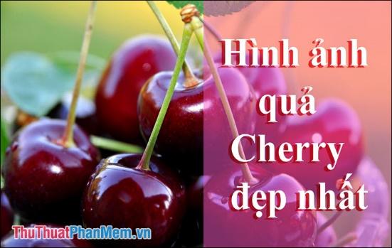 Hình ảnh Quả Cherry